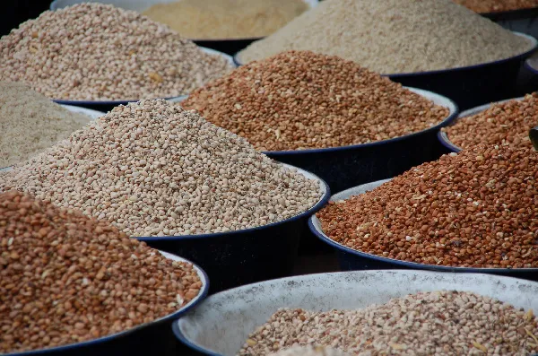 Gov’t directs release of 50,000 bags of grain to ECOWAS