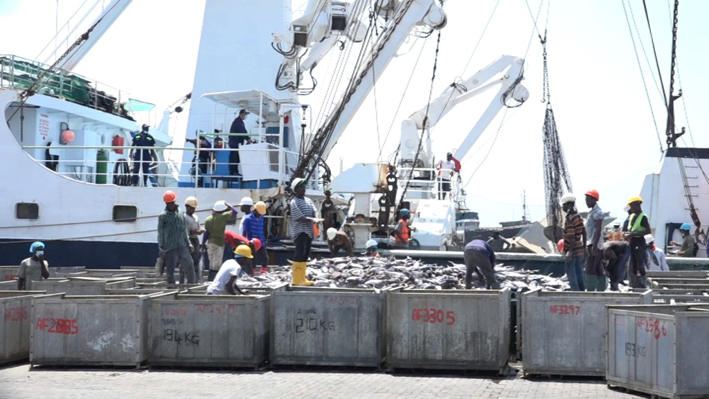 Ghana’s tuna industry in crisis as 20 hook and line vessels collapse  