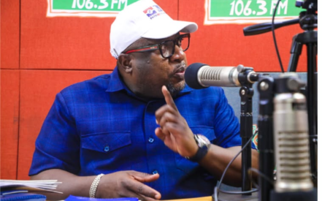 NPP Vice Chair race: I may be the youngest, but most experienced – Nana B