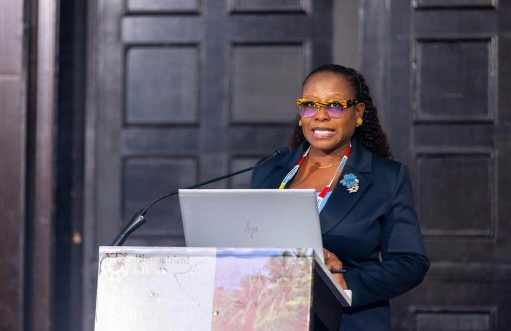 NDPC DG calls for stronger financing, accountability to improve nutrition outcomes