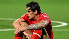 Loss of Euro spot will be 'significant setback' – Lawlor