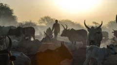 Co ordinated cattle raids kill at least 72 people in South Sudan