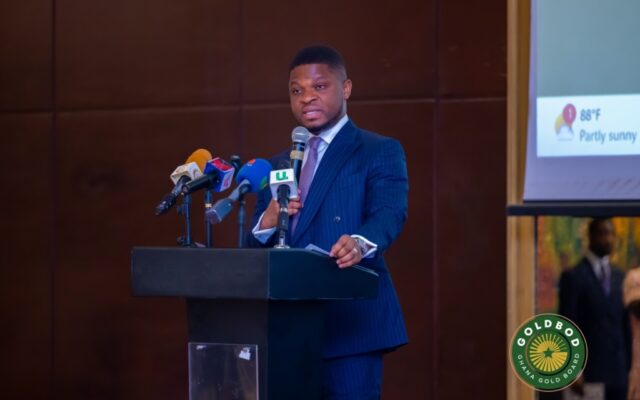 GoldBod targets bigger stake for Ghana in new mines through geological studies