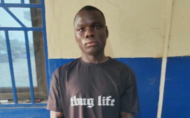 Suspect in viral video assaulting wife jailed for 3 months