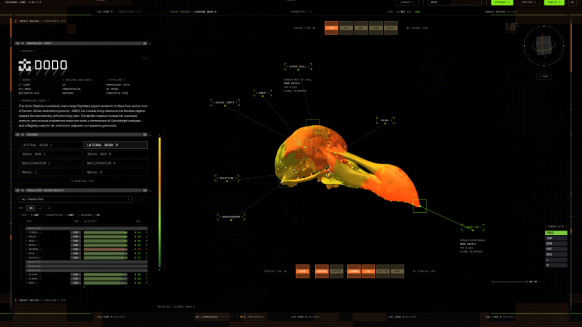 Colossal Biosciences announces new AI platform to help accelerate de extinction efforts
