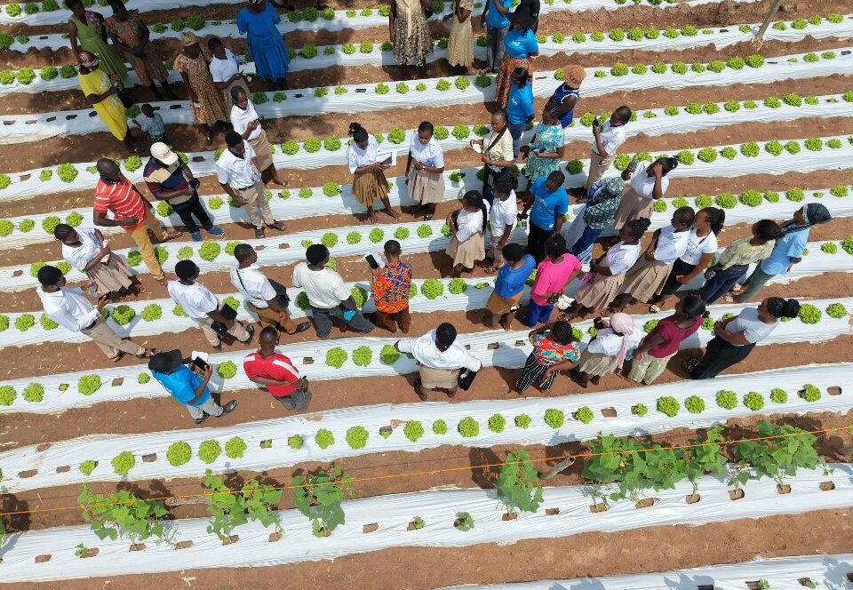 Farmers urged to grow more with less as horticulture project promotes climate smart methods