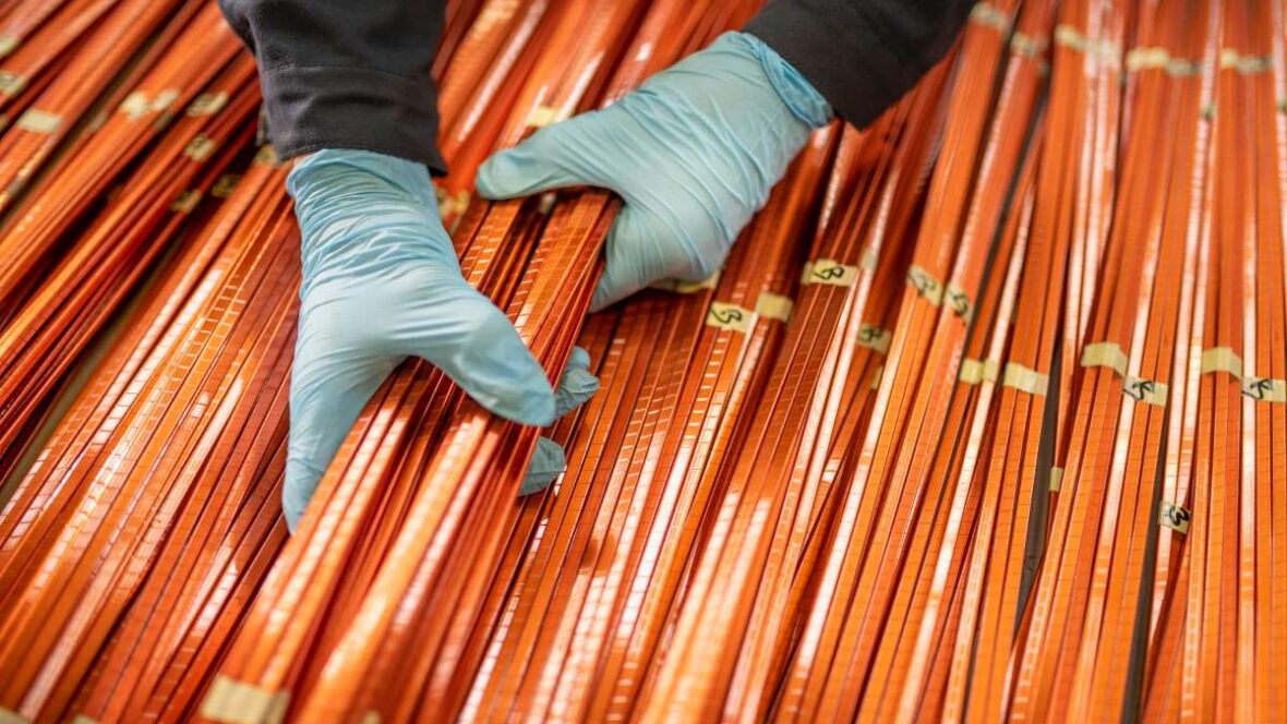 Giraffe Bio aims its bespoke biomolecules at the looming copper shortage