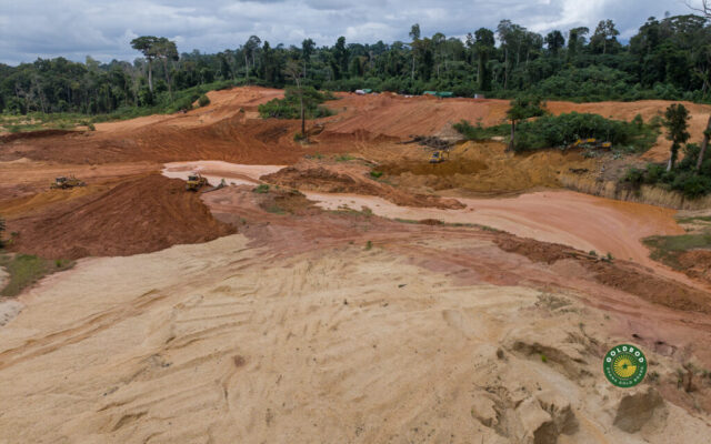 GoldBod commits GH¢35m to reclaim galamsey damaged Tano Nimri Forest Reserve