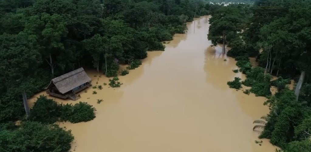 Samartex Timber and Plywood Company reels under galamsey as illegal miners cut into its operations and livelihoods