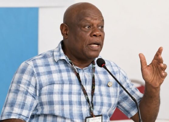 Suspend offshore gold exploration licence – NAFAG urges gov’t
