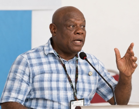 Suspend offshore gold exploration licence – NAFAG urges gov’t