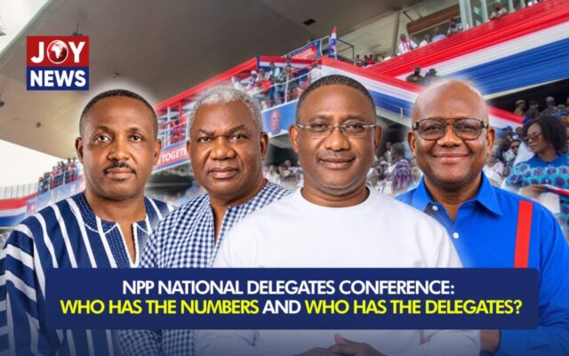 NPP elects national executives today in Kumasi ahead of election 2028