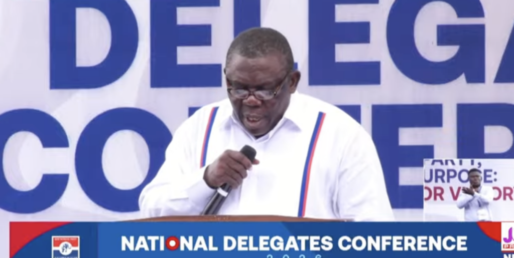 NPP postpones constitutional amendments, including proposal on party leadership to next national conference