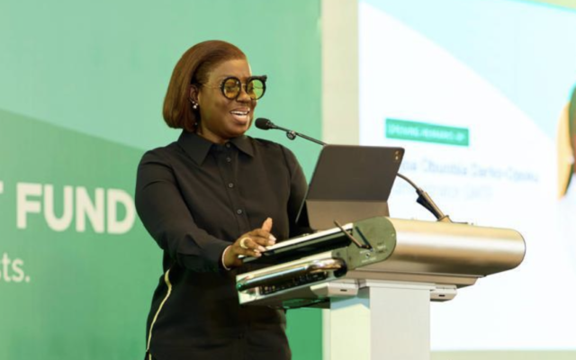 Families still selling homes, exhausting savings to pay for specialised care – GMTF Administrator