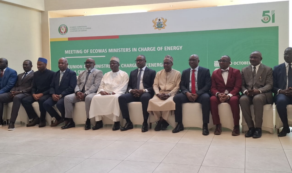 ECOWAS Energy Ministers to consider battery storage, electricity market regulations