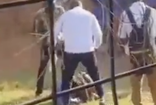 Video captures teachers stepping on a student’s head in violent Techiman SHS incident