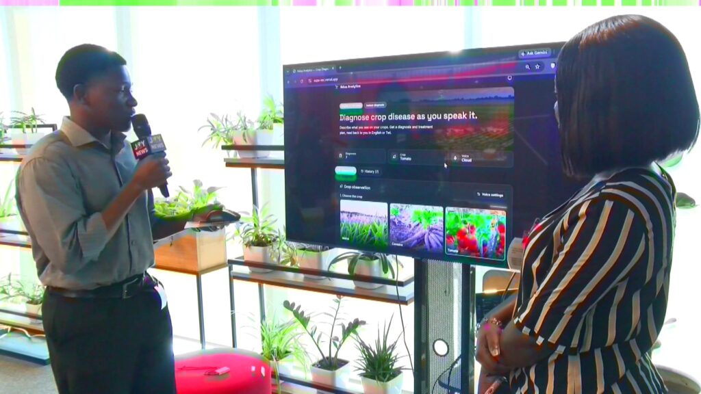 AI tool helps Ghanaian farmers identify crop threats from field observations