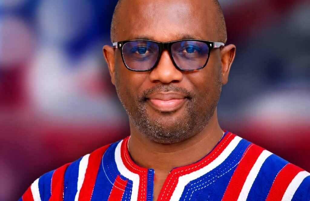 NPP diaspora executives back proposal to allow dual citizens to contest parliamentary elections