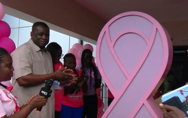 Health experts warn women against unregulated breast enlargement products, herbal remedies
