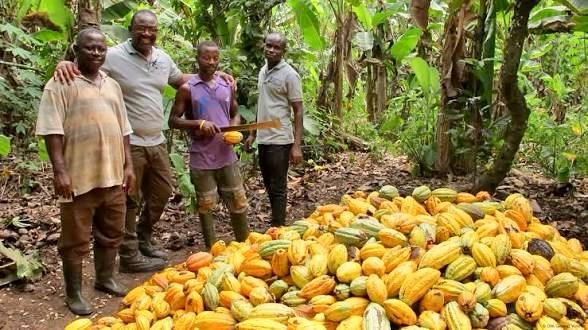 Fairtrade Africa’s Cocoa Hubs Project strengthens rural service centres in cocoa growing communities