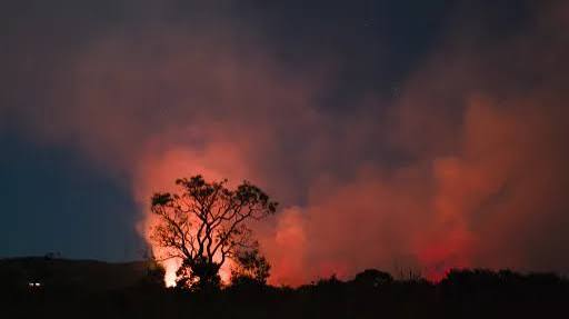 World must cut emissions 18% in four years to find a way back below 1.5°C – UN 2026 Emissions Gap Report