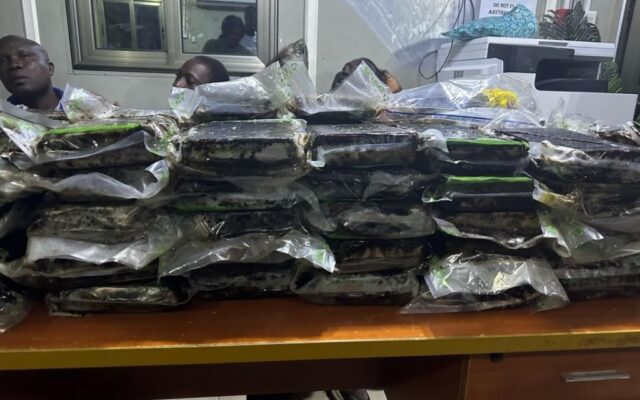 ‘Who is financing all this?’ – Victoria Bright questions networks behind Ghana linked drug trade