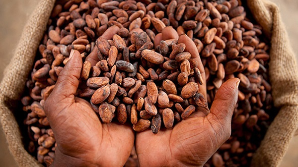 Cocoa prices risen by 95% since March 2026, to average US$5,670 in 2026