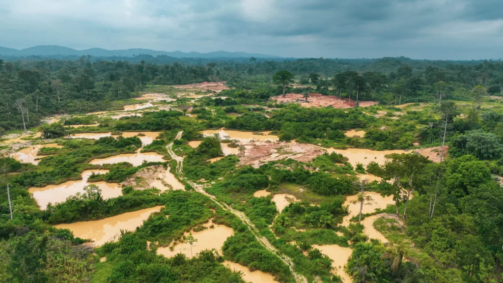 Ghanaians are not angry enough about galamsey – Awula Serwah