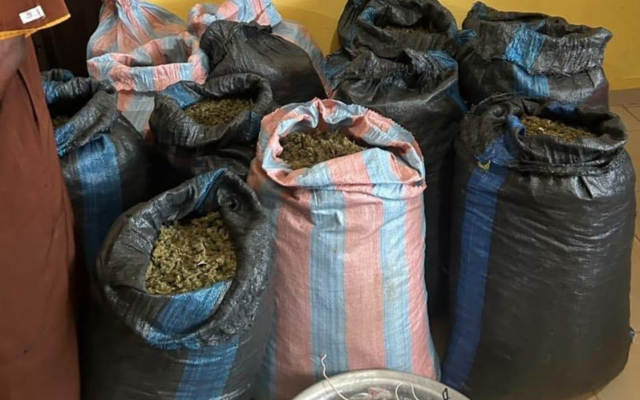 Marine Police arrest 31 year old man over suspected cannabis plantation in Volta Region