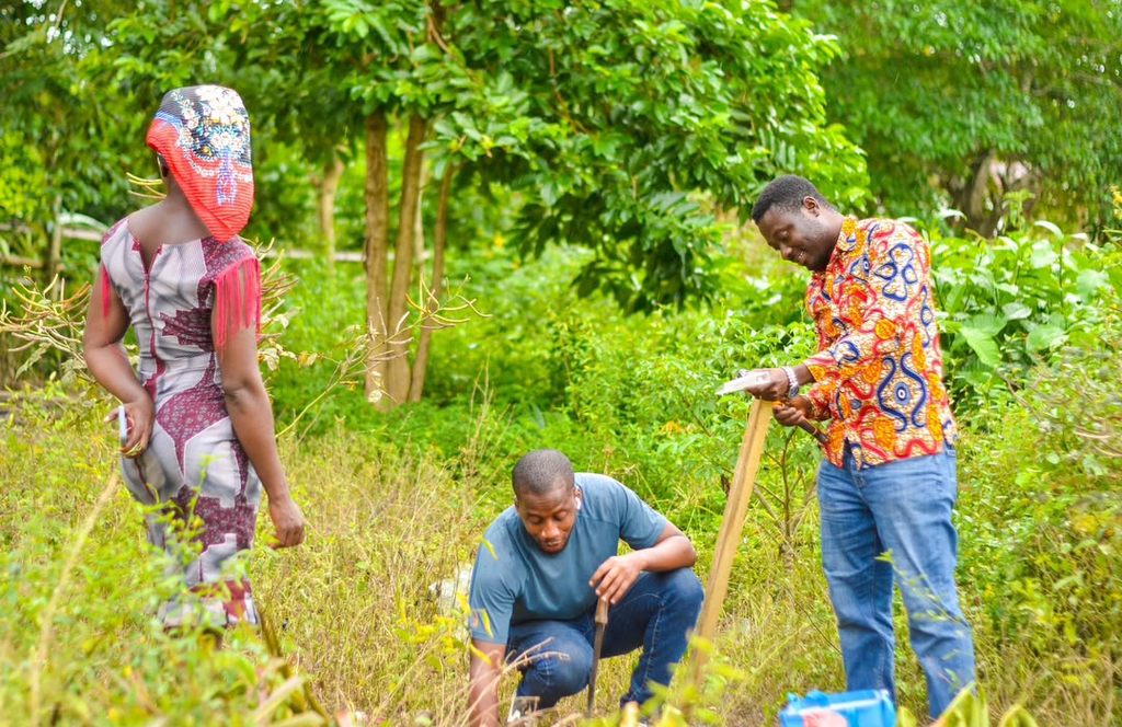 Ghana is restoring nature, but is nature recovering?