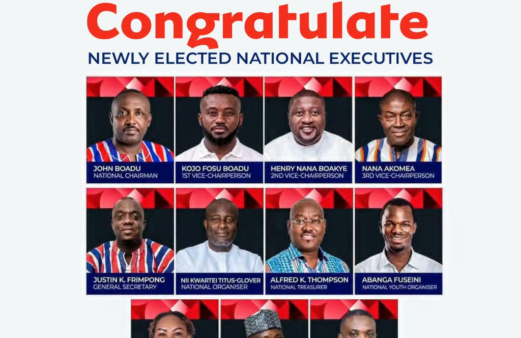 NPP Germany congratulates new national executives, calls for unity ahead of 2028 elections