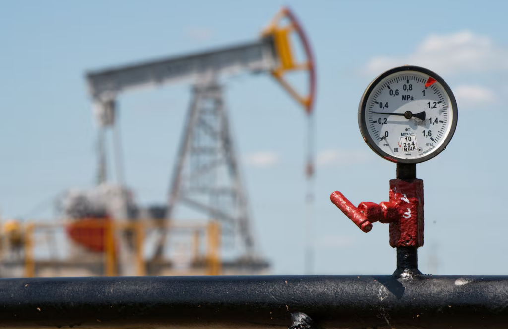 Tanzania announces first gas discovery in more than 10 years