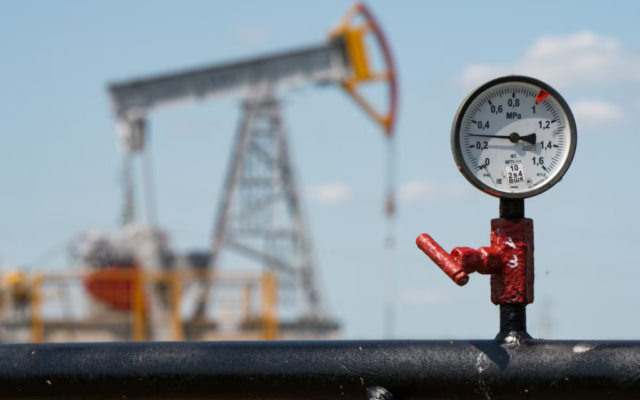 Tanzania announces first gas discovery in more than 10 years
