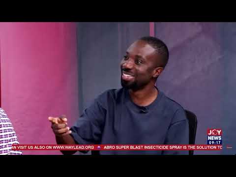 NPP will negotiate with popular non politicians to secure winnable candidates – Miracles Aboagye